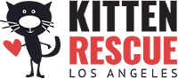 Kitten Rescue: Los Angeles