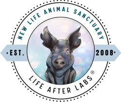 New Life Animal Sanctuary, Lake Elsinore, CA