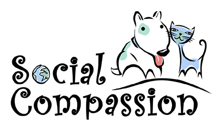 Social Compassion, Laguna Beach, CA