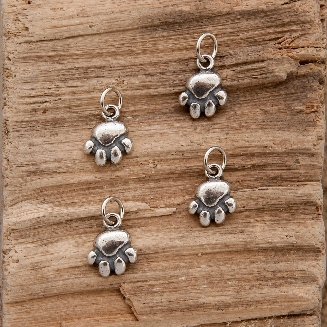 Single Paw Print Charm Hover