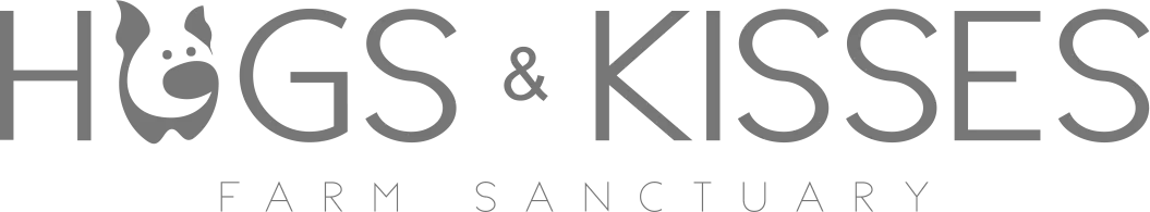 Hogs & Kisses, Charlottesville, VA