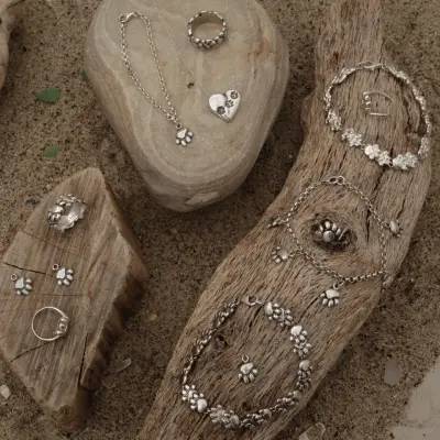 Paw Print Collection