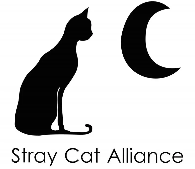 Stray Cat Alliance, Los Angeles, CA