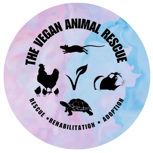 The Vegan Animal Rescue, Los Angeles, CA